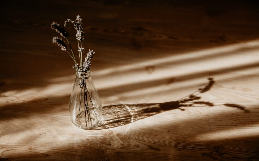 The Brighter the Light, The Darker the Shadow