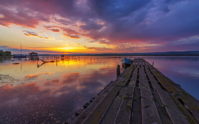 What Do You Want? Who Are You?