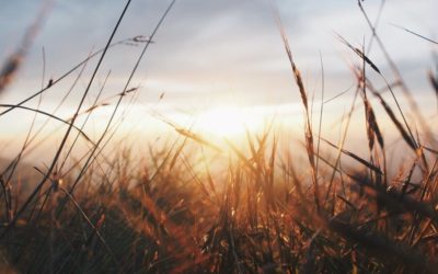 Are You A Skilled Empath?