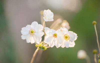 How To Deal With Change And Uncertainty