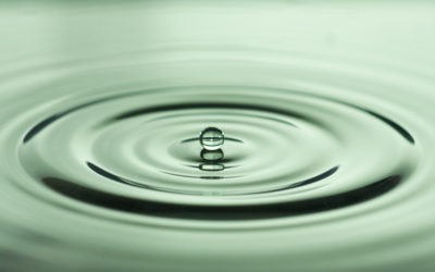 How Can We “Be The Change” On a Daily Basis?