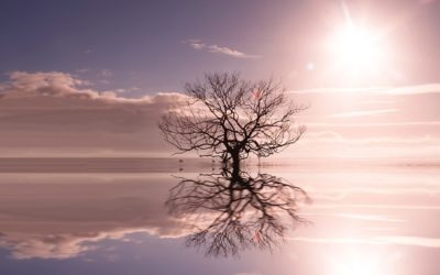 How to Awaken Your Spiritual Gifts