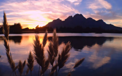 Highly Sensitive People & Anger