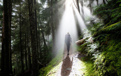 Emotional Wounds Lead Us to Our Light