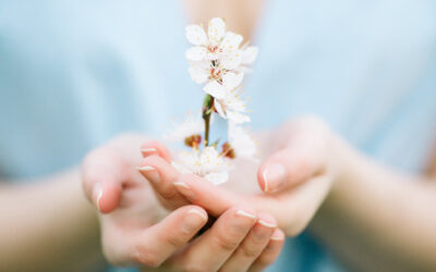 Healing Childhood Wounds Step 1