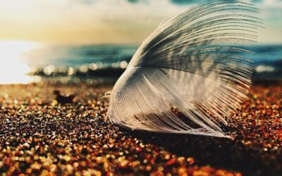 How to Control Those Triggers!