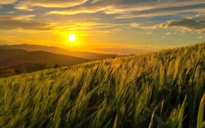 Highly Sensitive People Learn This Unfortunate Lesson in Childhood