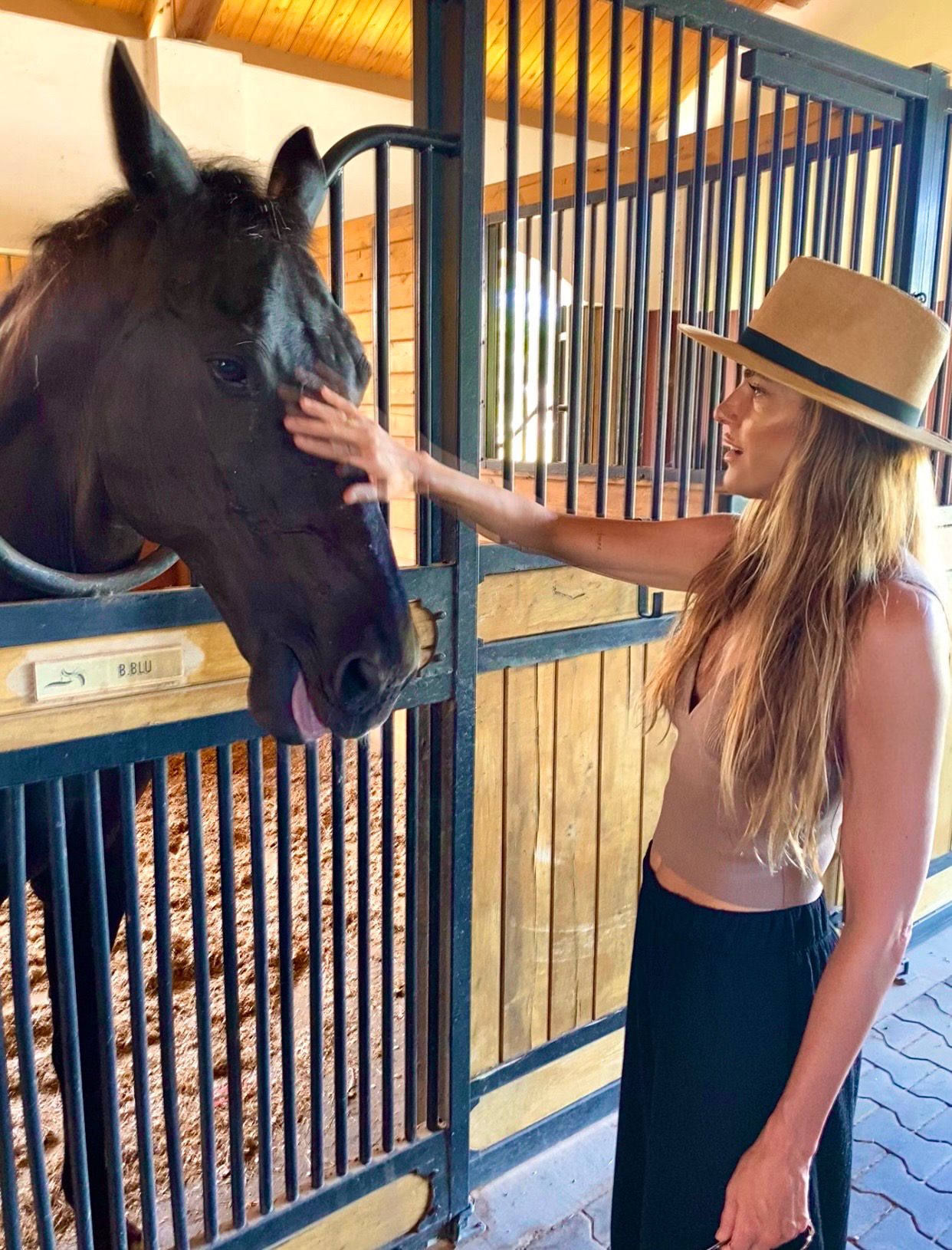 horse-therapy