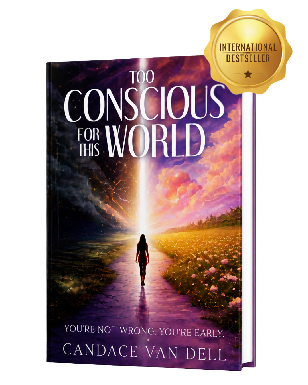 Too Conscious For This World International Bestseller
