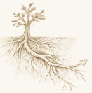 break-free-from-codependency